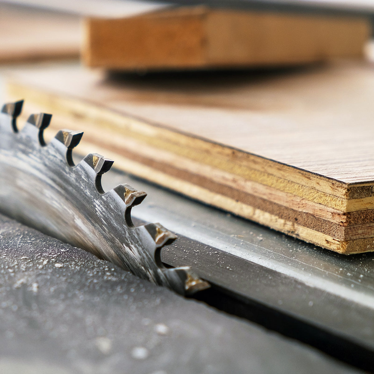 HM-Kreissägeblatt für Holz Ø 115 – 600 mm