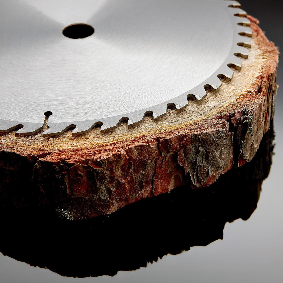 HM-Kreissägeblatt für Holz Ø 115 – 600 mm